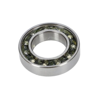 3600905019