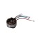 1619P14412