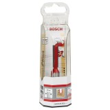 Bosch - Expert Serisi Ahşap İçin Çift Oluklu, Sert Metal Düz Freze Ucu 12*8*76 mm
