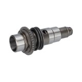 1617000V81