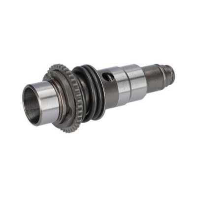 1617000V81