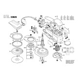Bosch - EX 150 AC