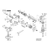 Bosch - "LIXADEIRA  7"""